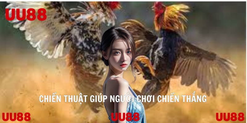 Đá Gà Cựa Sắt Trò Chơi Làm Mưa Làm Gió Của Nhà Cái UU88 - Vowin