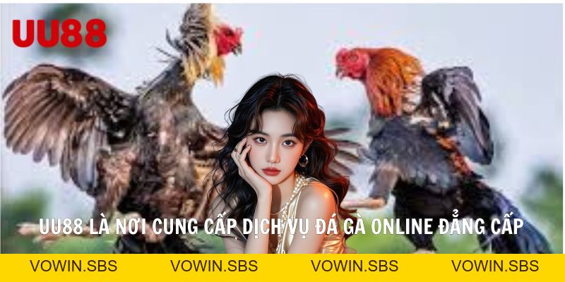 Đá Gà Online - Bộ Môn Giải Trí Trực Tuyến Của Giới Trẻ 2026 - Vowin