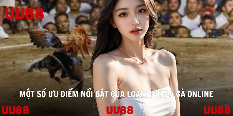 Đá Gà Online - Bộ Môn Giải Trí Trực Tuyến Của Giới Trẻ 2026 - Vowin