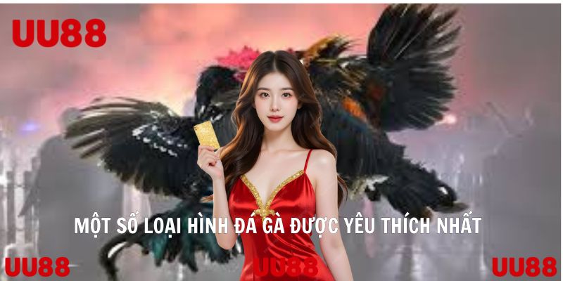 Đá Gà UU88 Điểm Hẹn Số 1 Của Hội Viên Đam Mê Cá Cược - Vowin