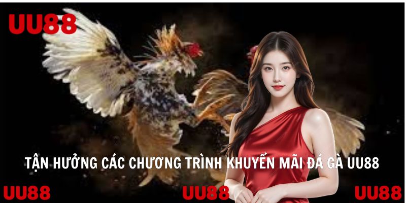Đá Gà UU88 Điểm Hẹn Số 1 Của Hội Viên Đam Mê Cá Cược - Vowin